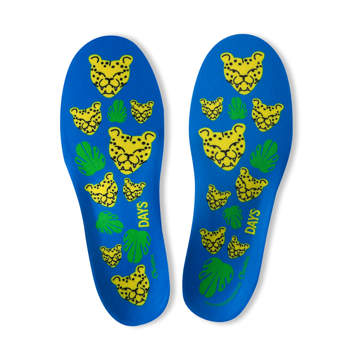 Cheetahs